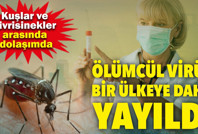 Ölümcül virüs bir ülkeye daha yayıldı