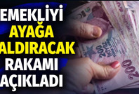 Emekliyi ayağa kaldıracak rakamı açıkladı