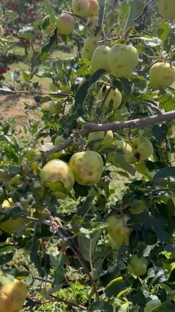 Bir gecede olanlar oldu: Toplam zarar 107 milyon TL - Resim : 1