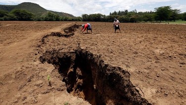 Her yıl açılıyor: Dev kıta ikiye bölünüyor