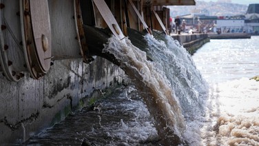 İzmir Körfezi'nde suyun rengi değişti, koku etrafı sardı