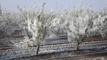 Geçen yıl dev kayıp yaşanmıştı: Gıdada büyük tehlike kapıda