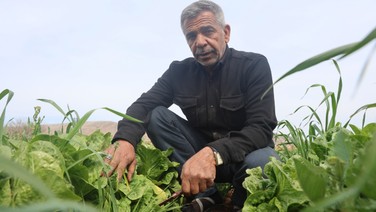 Çiftçi isyan etti: 'Tarlada 5 TL'ye veriyoruz, marketler 25 - 30 TL'ye satıyor'