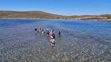 Ayvalık'ta adadan adaya denizden yürüyerek geçtiler