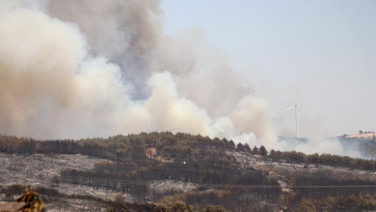 Tekirdağ'daki orman yangını kontrol altına alındı