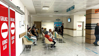 Bu yıl hepimizi hasta ettiler