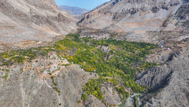 İklim değişti mahsul şaşırttı: Diyarbakır'da mikroklima mucizesi