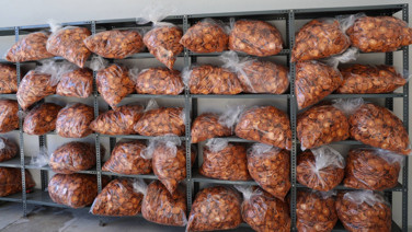 Almanya'ya da gönderildi: Kendisi 60 TL, kurusu 650 TL