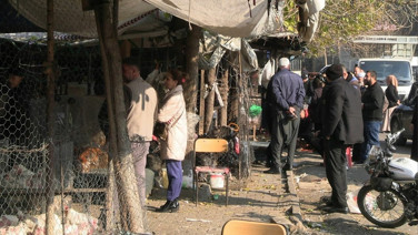 Dert yandı: Geçen sene günde 50 tane satıyorduk, şimdi 3-4