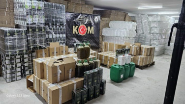 Sofralara gelecekti: 3 tondan 23 ton elde etmişler