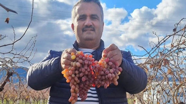 Soğuğa dayanıklı, kazancı yüksek: Kilosu 50 lira altına düşmedi