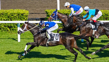 At yarışlarında bahis yetkisi el değiştiriyor