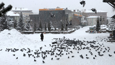 Yeni yılın ilk gününde kar yurdu sardı