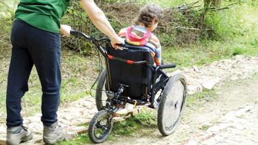 Engellinin üç kuruşuna göz diktiler