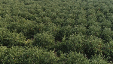 'Sanayiye bile verilemez hale geldi' dedi, kötü haberi verdi