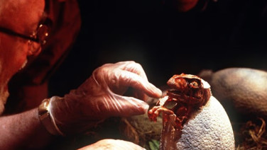 NASA açıkladı: İşte en gerçekçi bilim kurgu filmleri