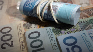 AB üyesi ülke Euro'ya geçişi istemiyor