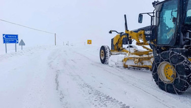 Van'da 4 ilçede eğitime kar engeli
