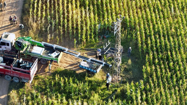 Şanlıurfa'da elektriğin yarısı kaçak tüketiliyor