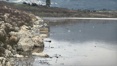 Birkaç ay önce ölü seviyedeydi: Yağışlar işe yaradı, baraj dolmaya başladı