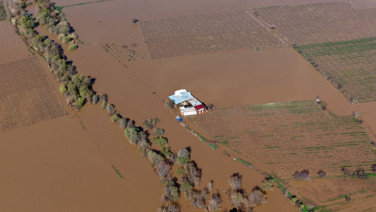 'Böylesini ilk kez yaşıyoruz': Tarlalar-çiftlikler su altında