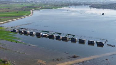 Yasak dinlememişlerdi: Göl evi oldular