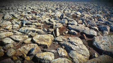 Volkanik taşların altında cephanelik ele geçirildi: 8 gözaltı