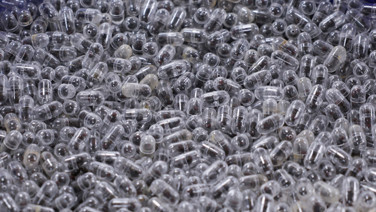 Valizinde tam 2238 karınca bulunmuştu: Hakim karşısına çıktı