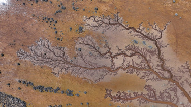 Doğa sanatını konuştu: Resmen tuval