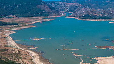 Hayvanların otladığı baraj yeniden can buldu