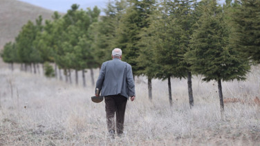 12 yılda bozkırı, ormana dönüştürdü: 12 bin fidan dikti