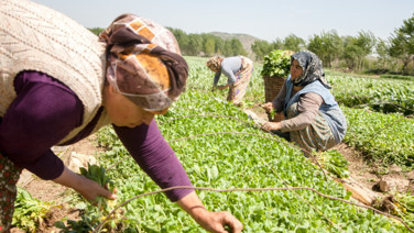 Yaşamak ve çalışmak için en iyi ülkeler seçildi: Türkiye'nin yeri dikkat çekti