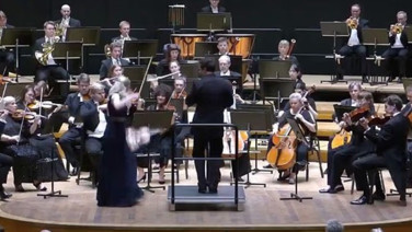 Orkestra şefinden 60 milyon TL'lik kaza: Tarihi kemanı düşürdü