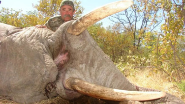 Avcıyken av oldu... Milyoner iş insanını filler ezdi