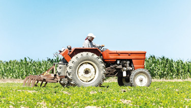 Sahibinden satılık 150 bin tarla