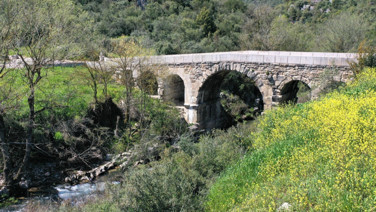 “Eski İstanbul Yolu” baharla canlandı: Doğaseverlerin yeni rotası oldu