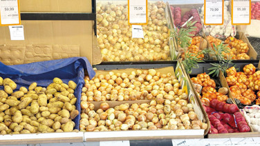Patates soğan borsası