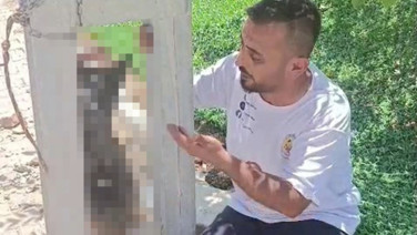 Evden çalınan köpek, asılı halde ölü bulundu