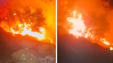 Muğla'da korkutan orman yangını