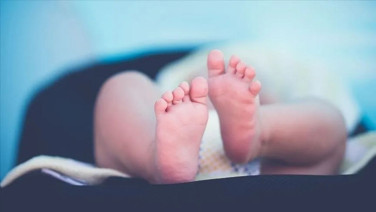 Evdeki karton kutuları açtı, içinden beş bebek cesedi çıktı