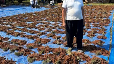 Denemek için ekti, yurt dışına 4 dolara ihraç ediyor