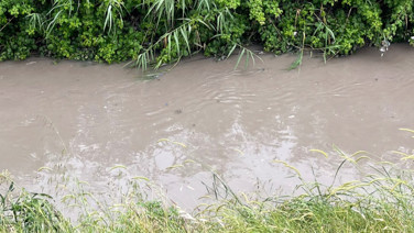 İngiltere, Adana'daki kirliliği mikroplastik kirliliği tartışıyor