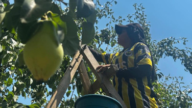 İtalyanlar "zor" diyerek bıraktı, Bursa zirveye çıktı: Rekor bekleniyor