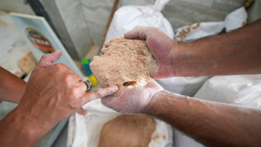 Sofralara gelecekti: Tonlarcası imha edildi