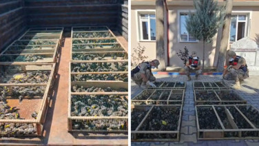 Traktörde binlerce saka yakalandı