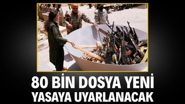 80 bin dosya çerçeve yasaya uyarlanacak
