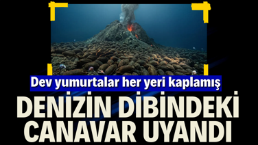 Denizin dibindeki canavar uyandı. Dev yumurtalar her yeri kaplamış