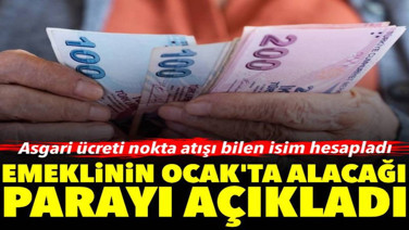 Emeklinin Ocak'ta alacağı parayı açıkladı: Asgari ücreti nokta atışı bilen isim hesapladı