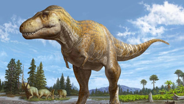 T-rex ile ilgili çarpıcı bulgu. İnsan ile aynı çıktı