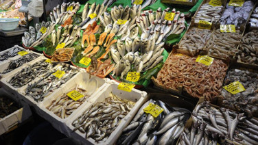 Palamutun gölgesindeki balık tezgahta geride sağlıkta zirvede